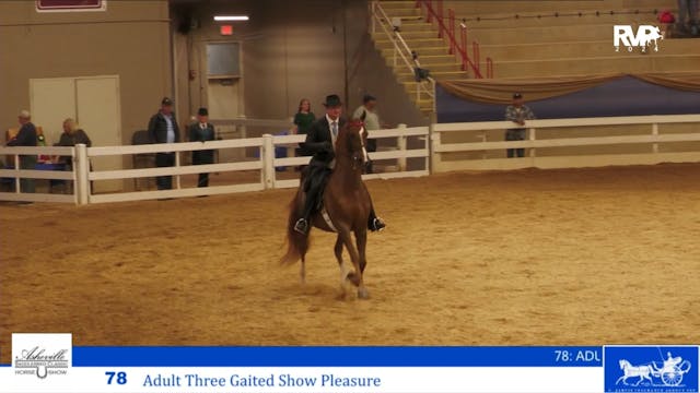 ASC24 - Class 78 - Adult Three Gaited...