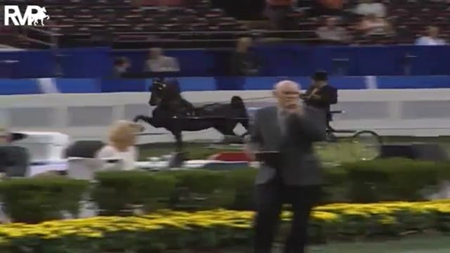 2004 WCHS - Class 69 - Amateur Gentle...