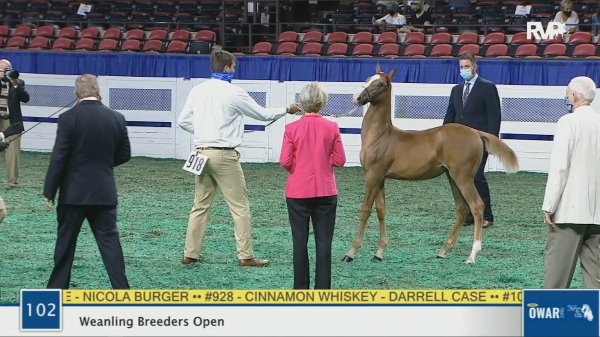 WCHS 2020 Class 102 - Weanlings Breeders Open