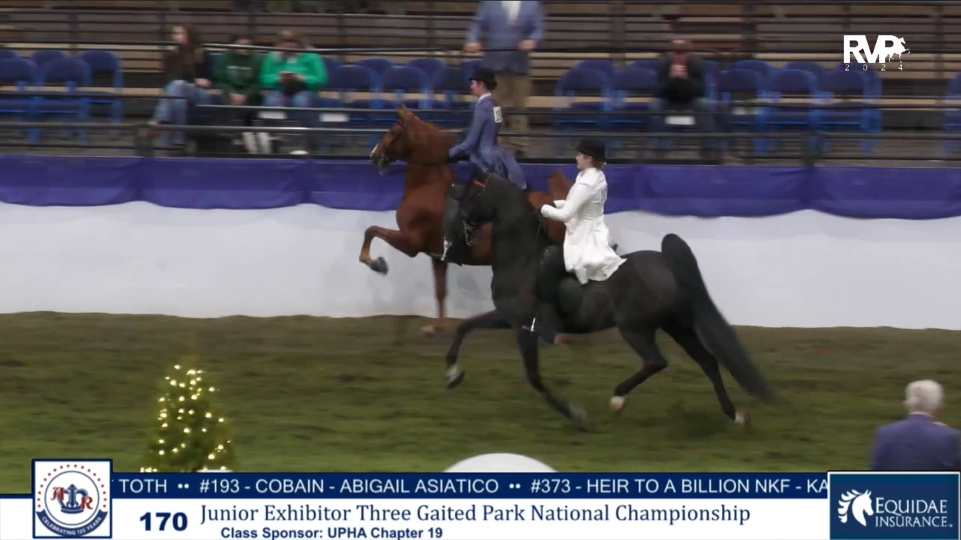AR24 - Class 170 - Jr Exhibitor Three Gaited Park National Championship