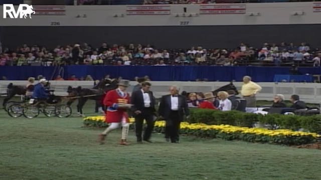 2004 World's Championship Horse Show ...