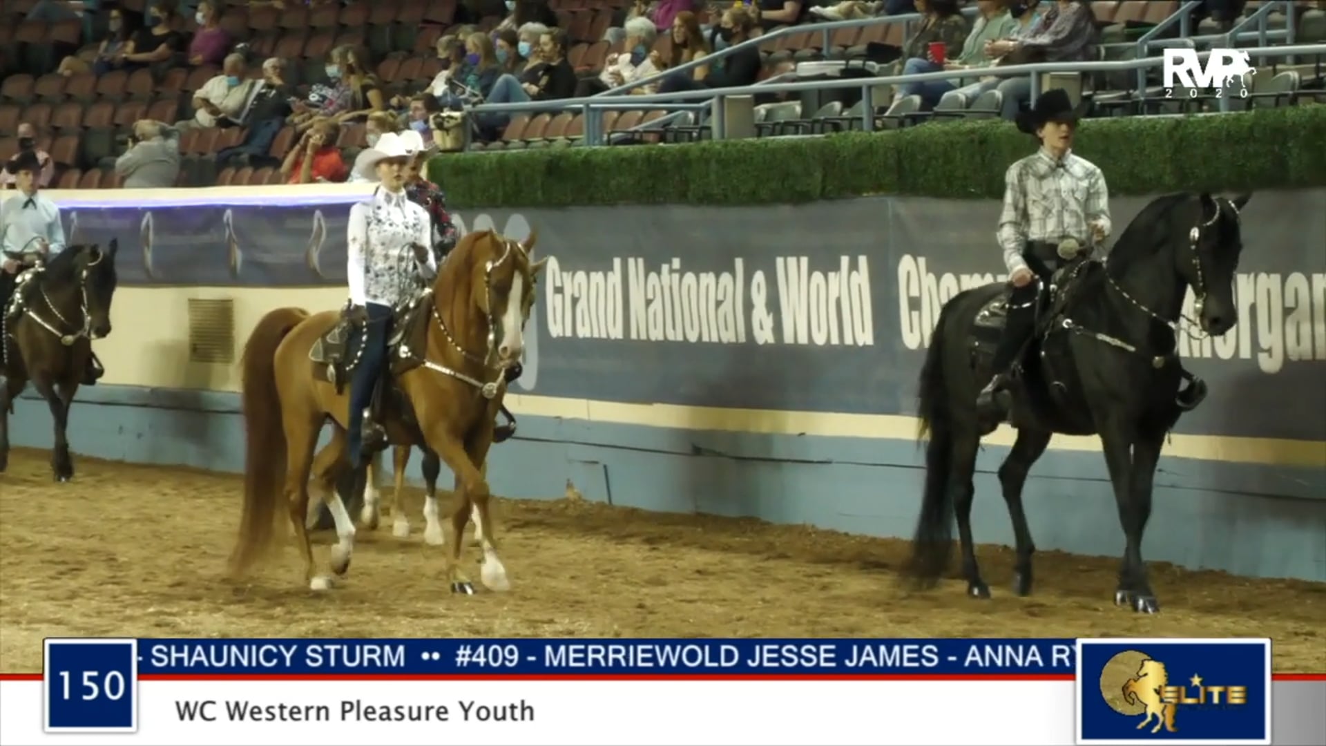 2020 MGN - Class 150 WC Western Pleasure Youth