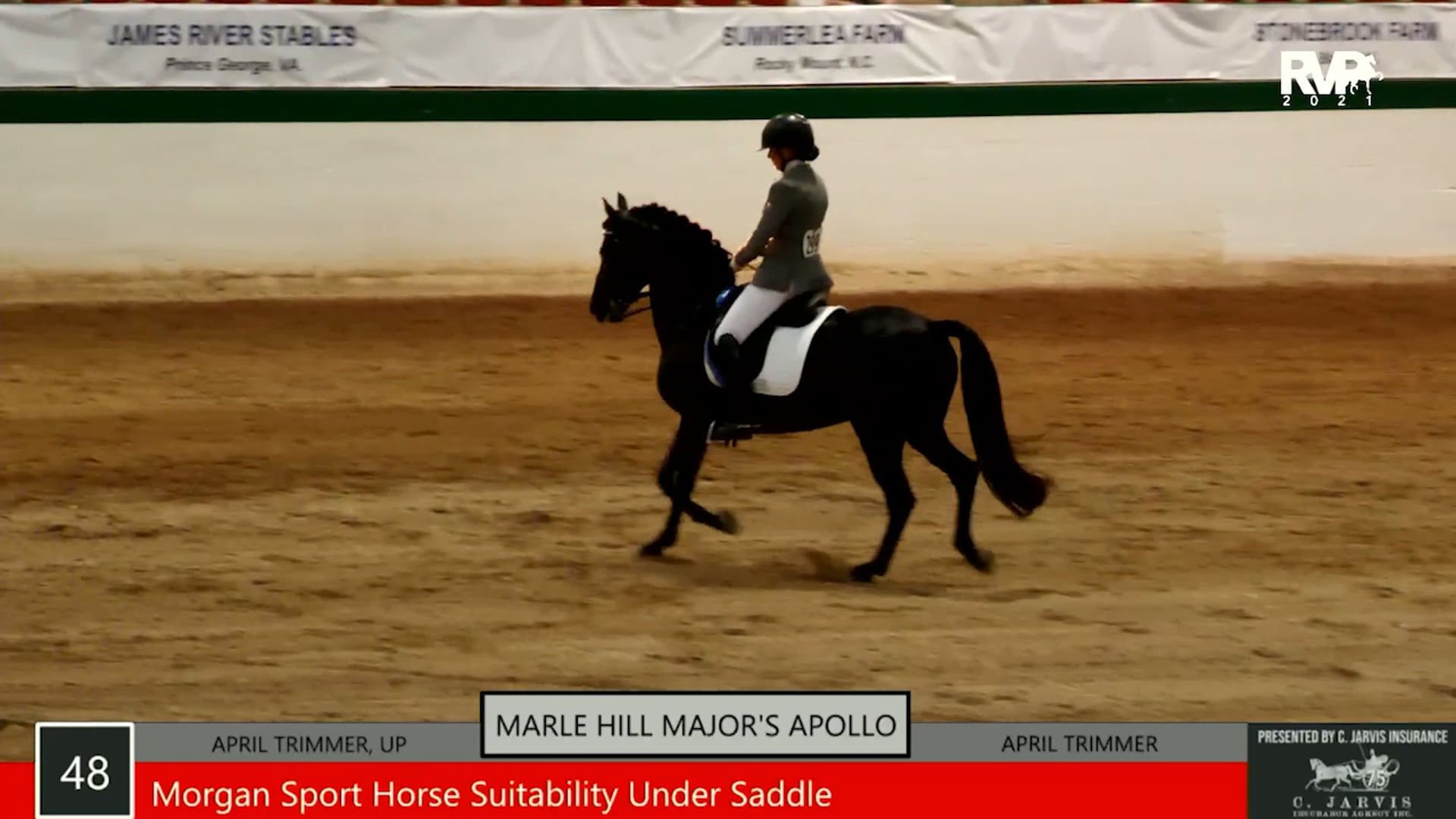 SS21 - Class 48 - Marle Hill Major's Apollo and April Trimming, up