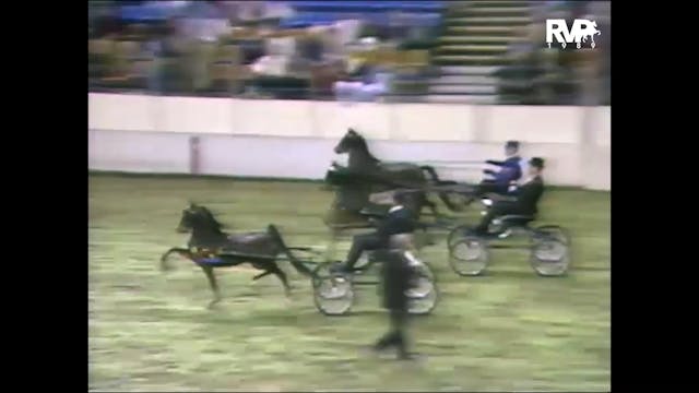 1989 AR - UPHA Classic Grand Champion...