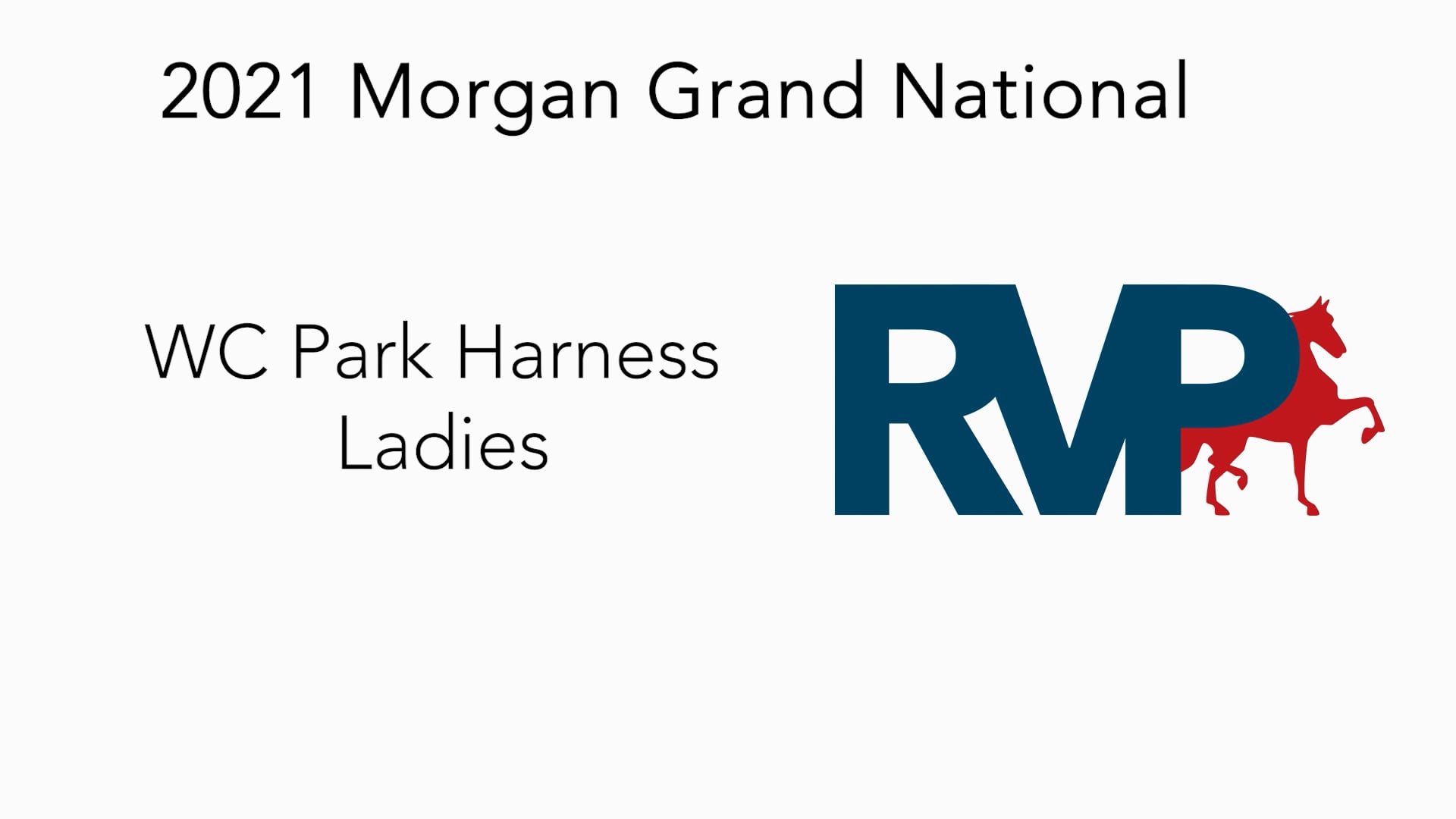 MGN21 - Class 190 - WC Park Harness Ladies