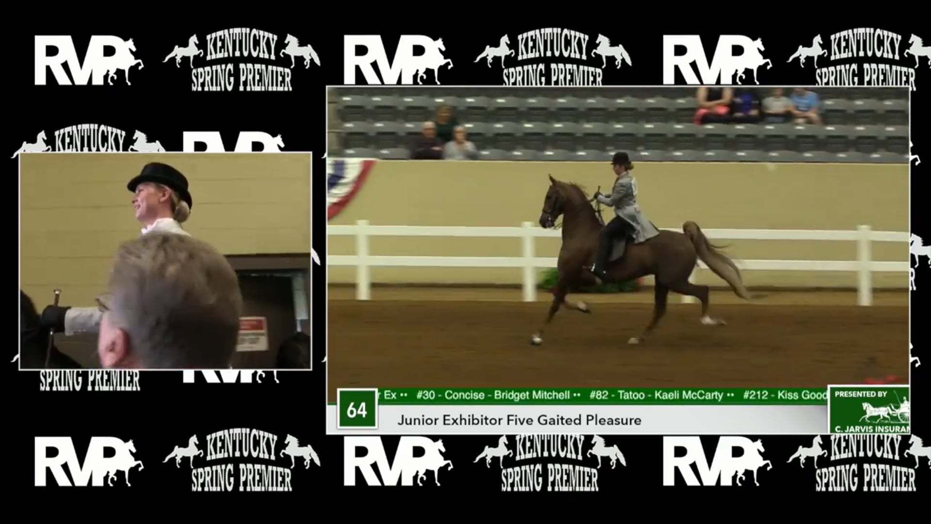 KYSP17 - Undulata's Little Brother