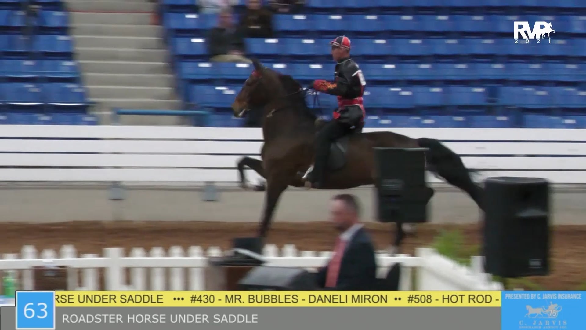 SSSF21 - Class 63 - Roadster Horse Under Saddle