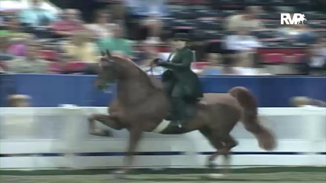 2000 WCHS Class 81 ASB Three Gaited S...