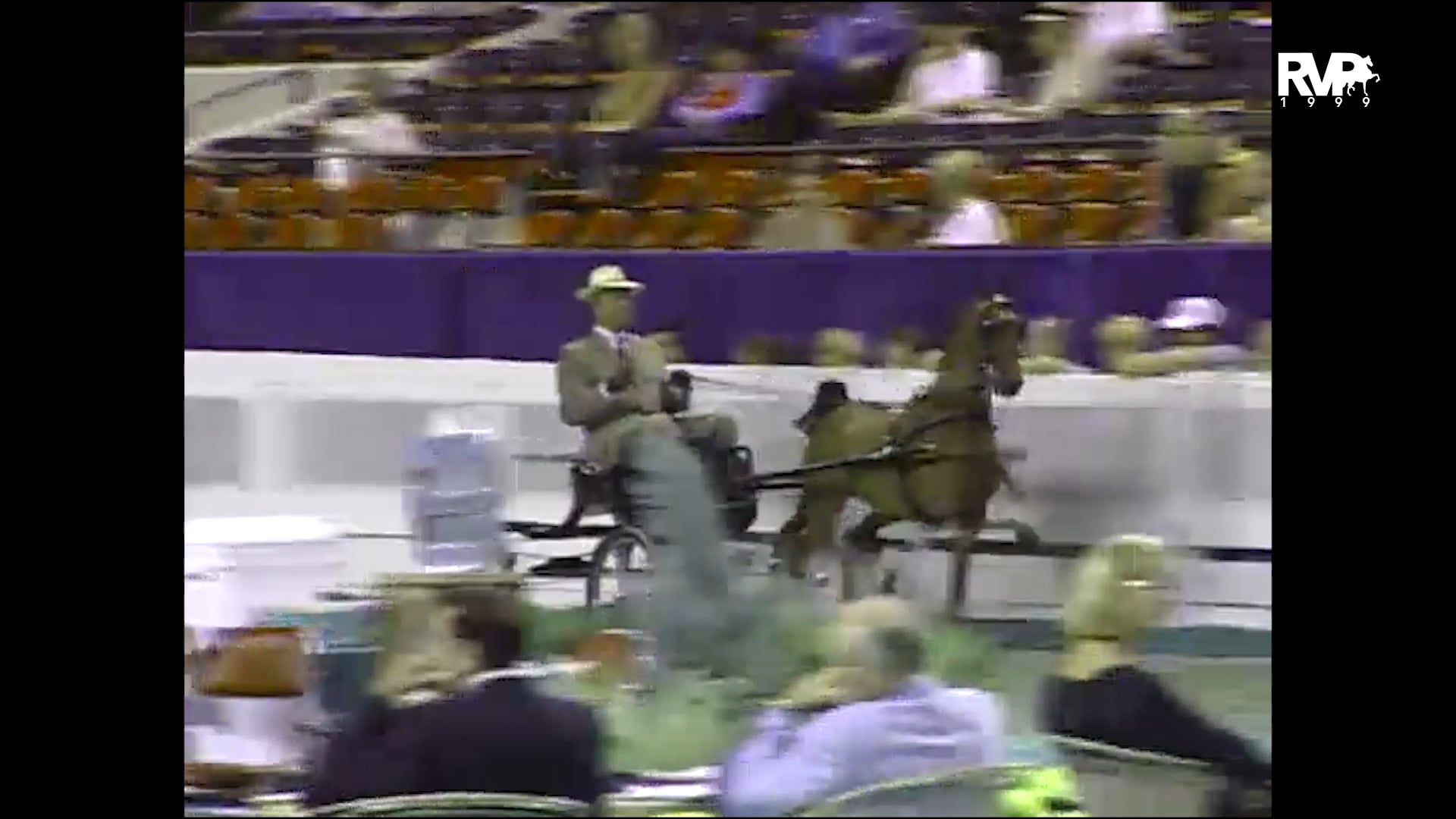 1999 WCHS - Class 75 Amateur Hackney Pony Gentlemen’s Stake