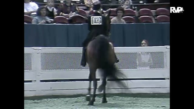 1997 WCHS - Class 2 Kentucky Equitati...