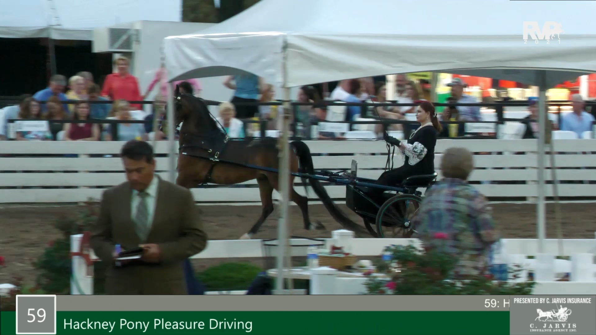 RC21 - Class 59 - Hackney Pony Pleasure Driving 