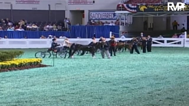 2009 World's Championship Horse Show ...