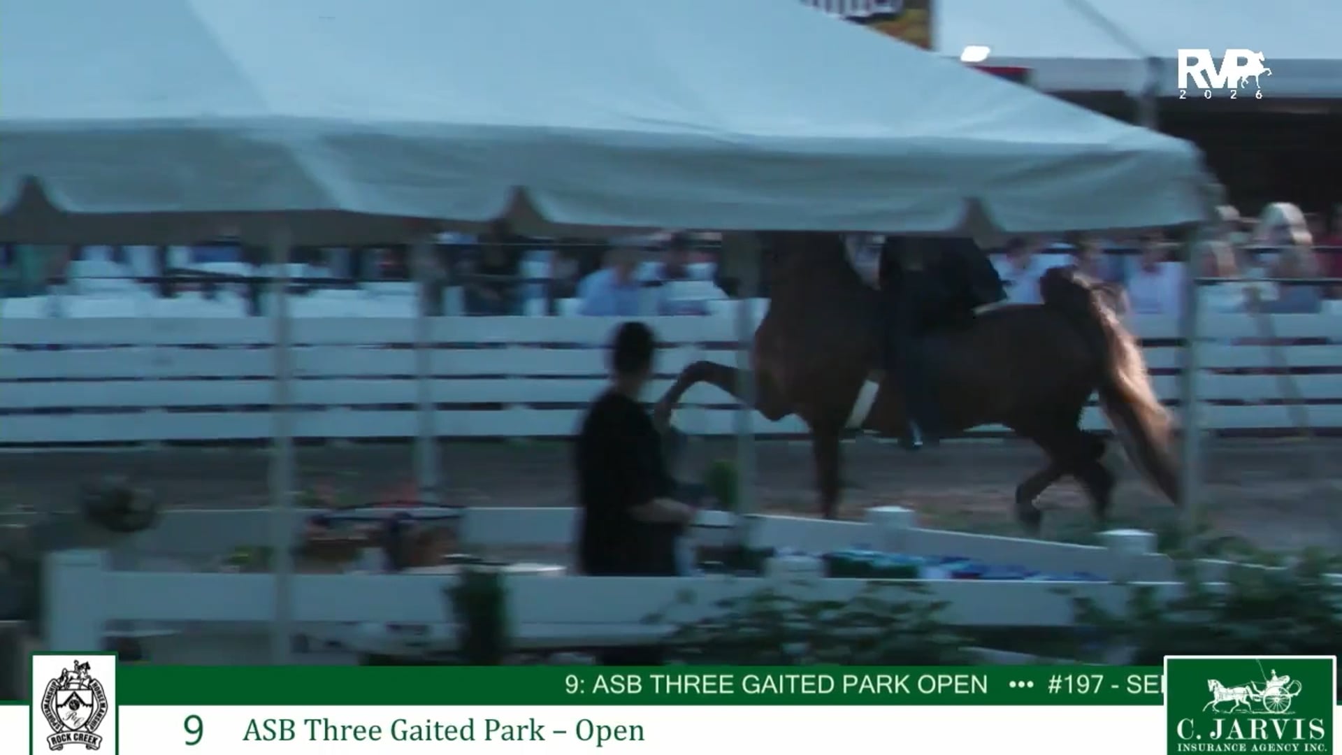 RC26 - Class 9 - ASB Three Gaited Park Open