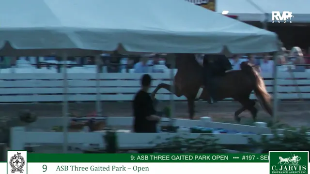 RC26 - Class 9 - ASB Three Gaited Par...