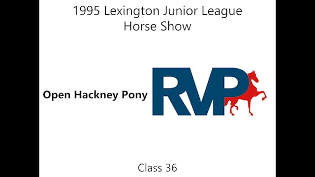 LJL 1995 - Class 36 - Open Hackney Pony