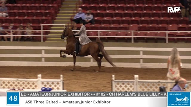 2020 ASF - Class 48 ASB Three Gaited ...