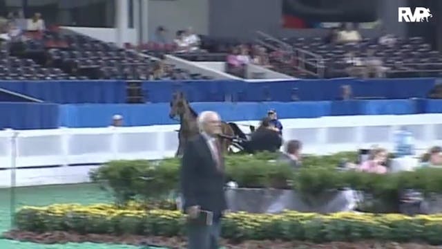 2010 World's Championship Horse Show ...