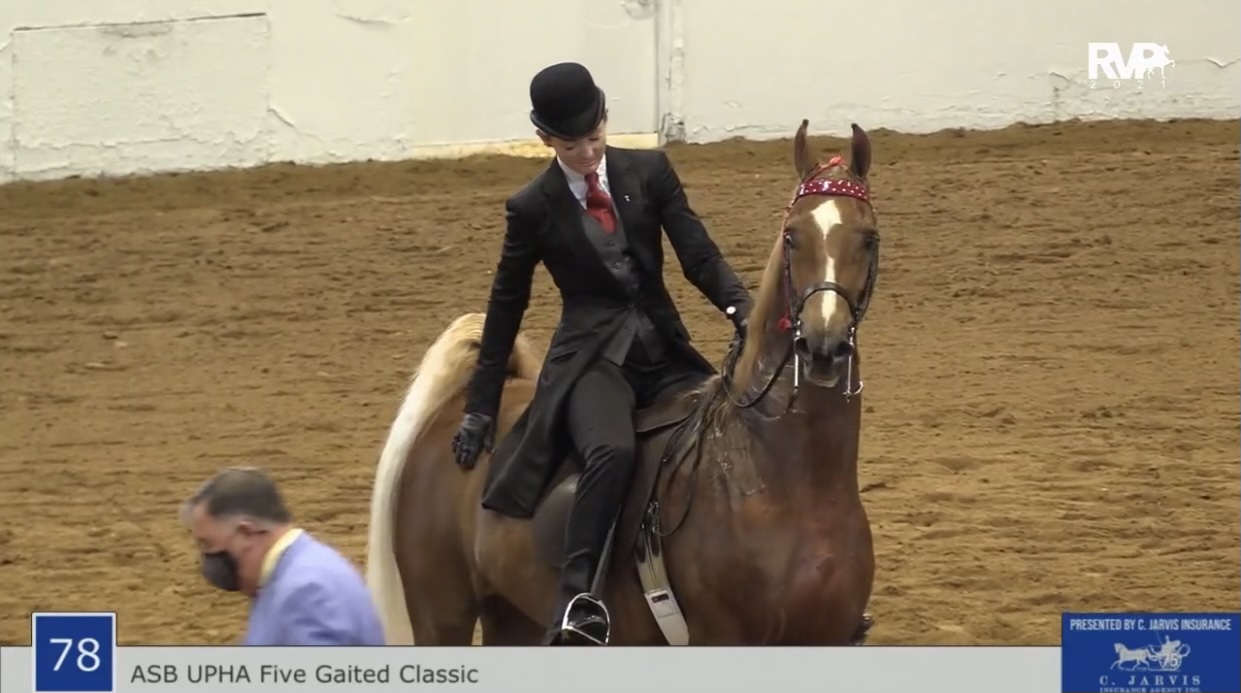 BB21 - Class 78 - ASB UPHA Five Gaited Classic