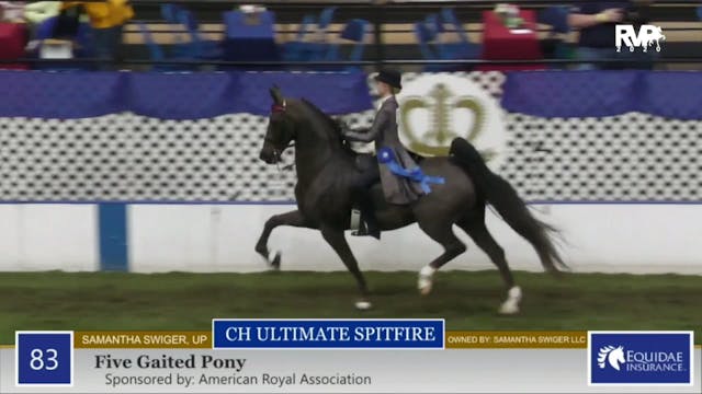 2020 American Royal - Friday Morning ...