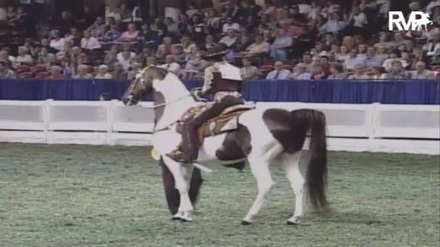 2007 WCHS Class 200 Western Country P...