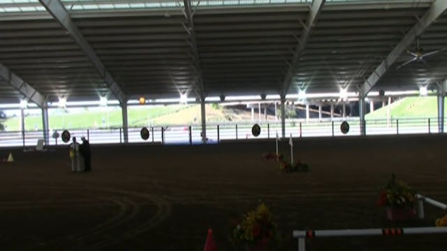 MGN16 - Sport Horse 2 - Tuesday Morning