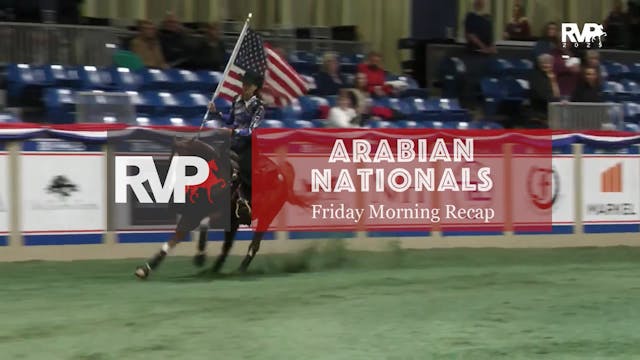 AN25 - Friday Evening Recap