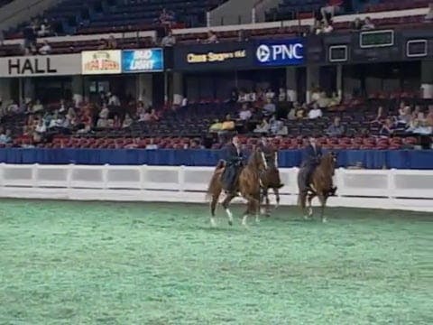 2008 WCHS Class 30 14-17 Three Gaited...