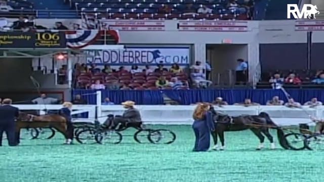 2009 World's Championship Horse Show ...