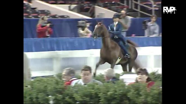 1998 WCHS - Class 167 National Horse ...