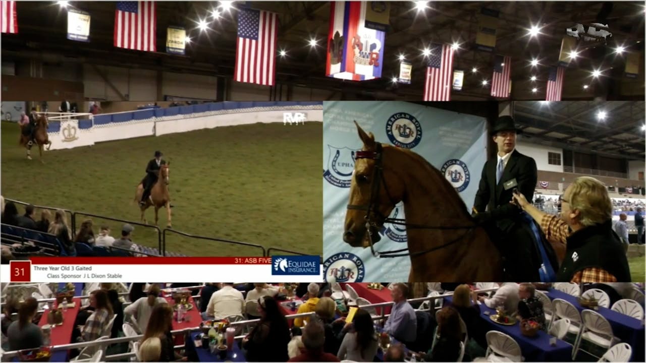 2021 American Royal Horse Show Tuesday Morning Richfield Video Archive