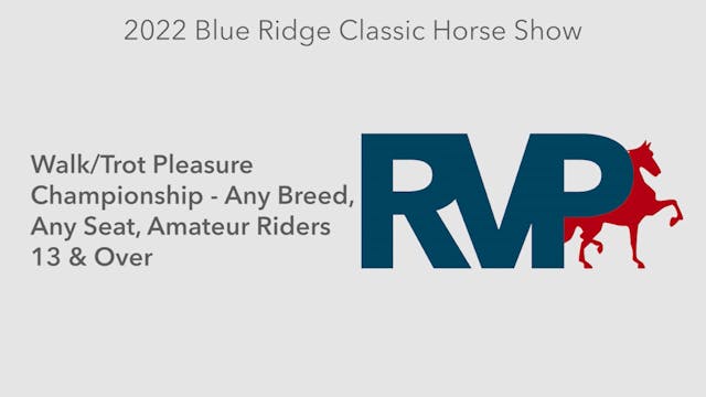 BR22 - Class 170.1 - WalkTrot Pleasur...