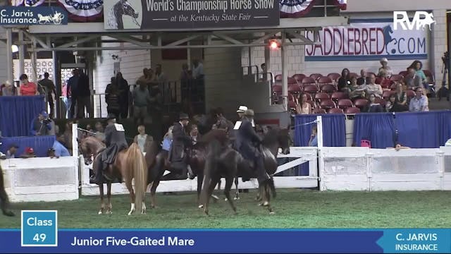 2014 - 2016 WCHS Junior Five Gaited C...