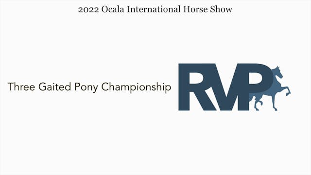 OIHS22 - Class 104 - Three Gaited Pon...
