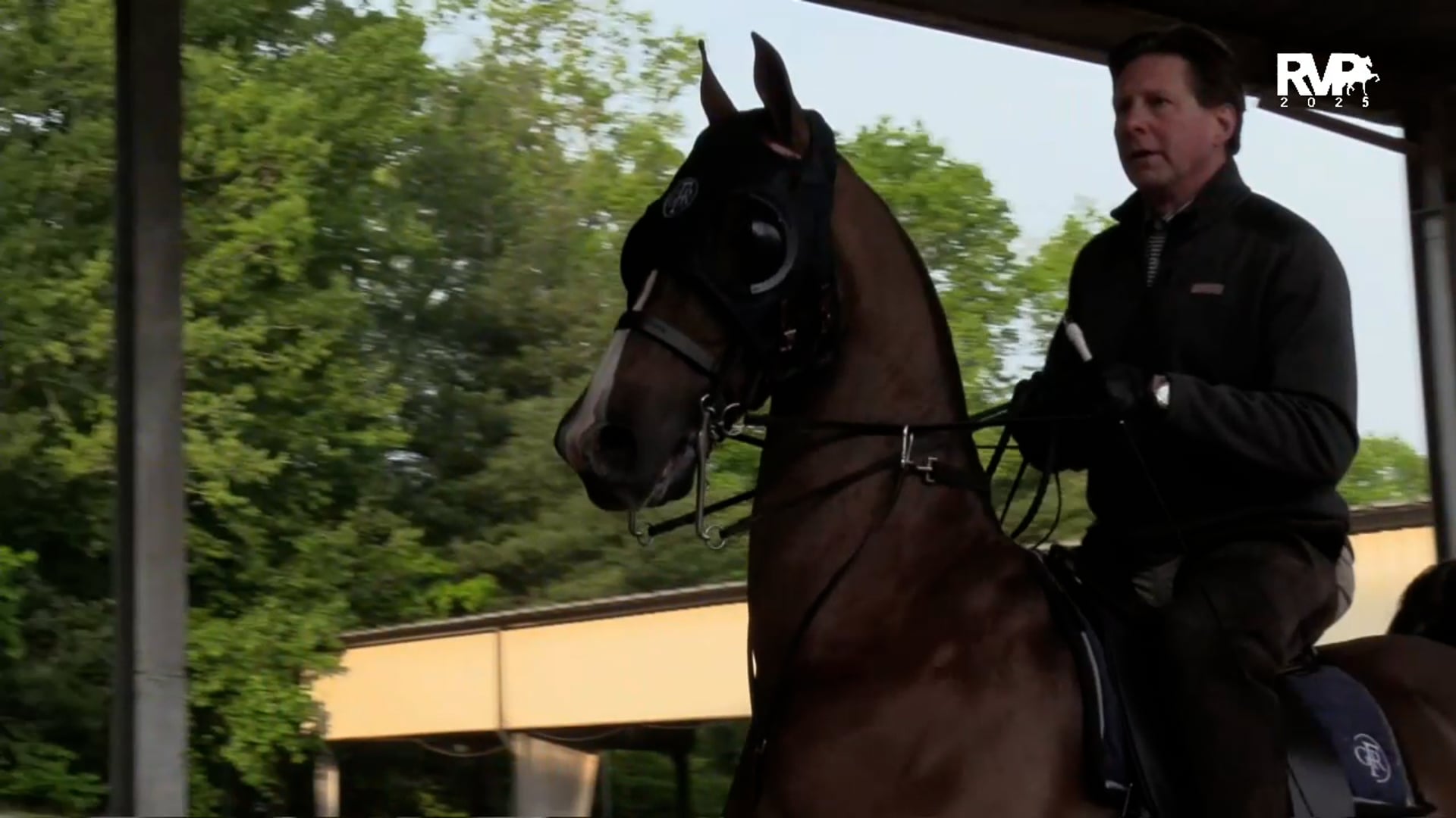 2025 Asheville Saddlebred Classic - Thursday Evening 