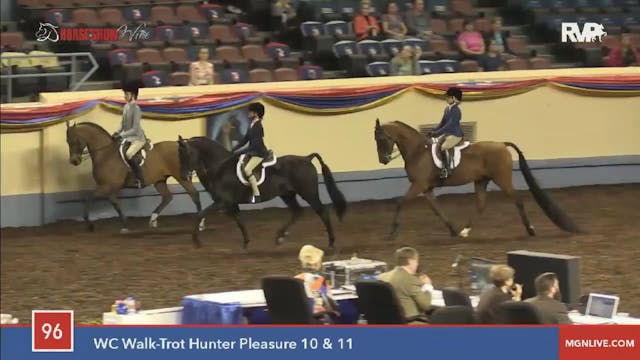 2015 MGN - Class 96 WC Walk:Trot Hunt...