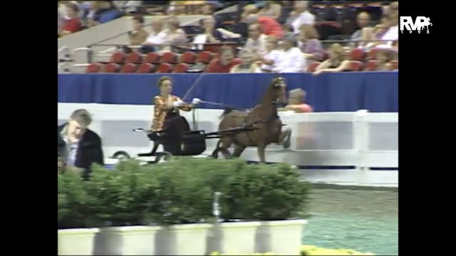 1998 WCHS - Class 99 Amateur Ladies H...