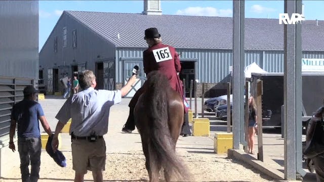 KFC19 - Class 25 - Undulata's Johnny ...