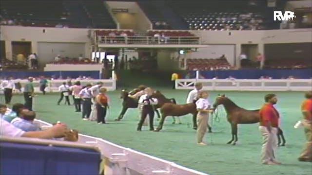 1992 WCHS Class 52 AHHS In Hand Yearl...