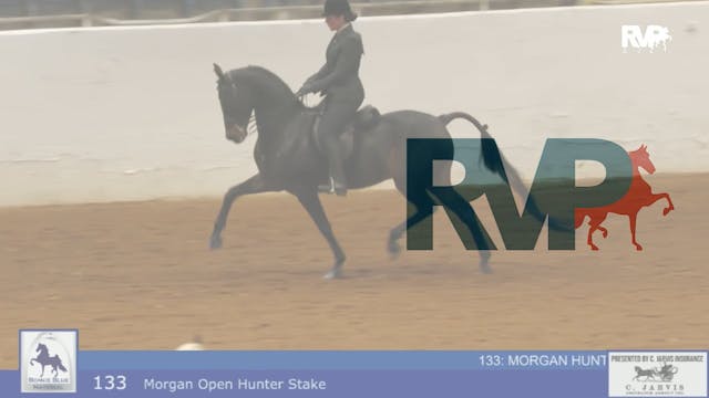 BB24 - Class 133 -  Morgan Open Hunte...