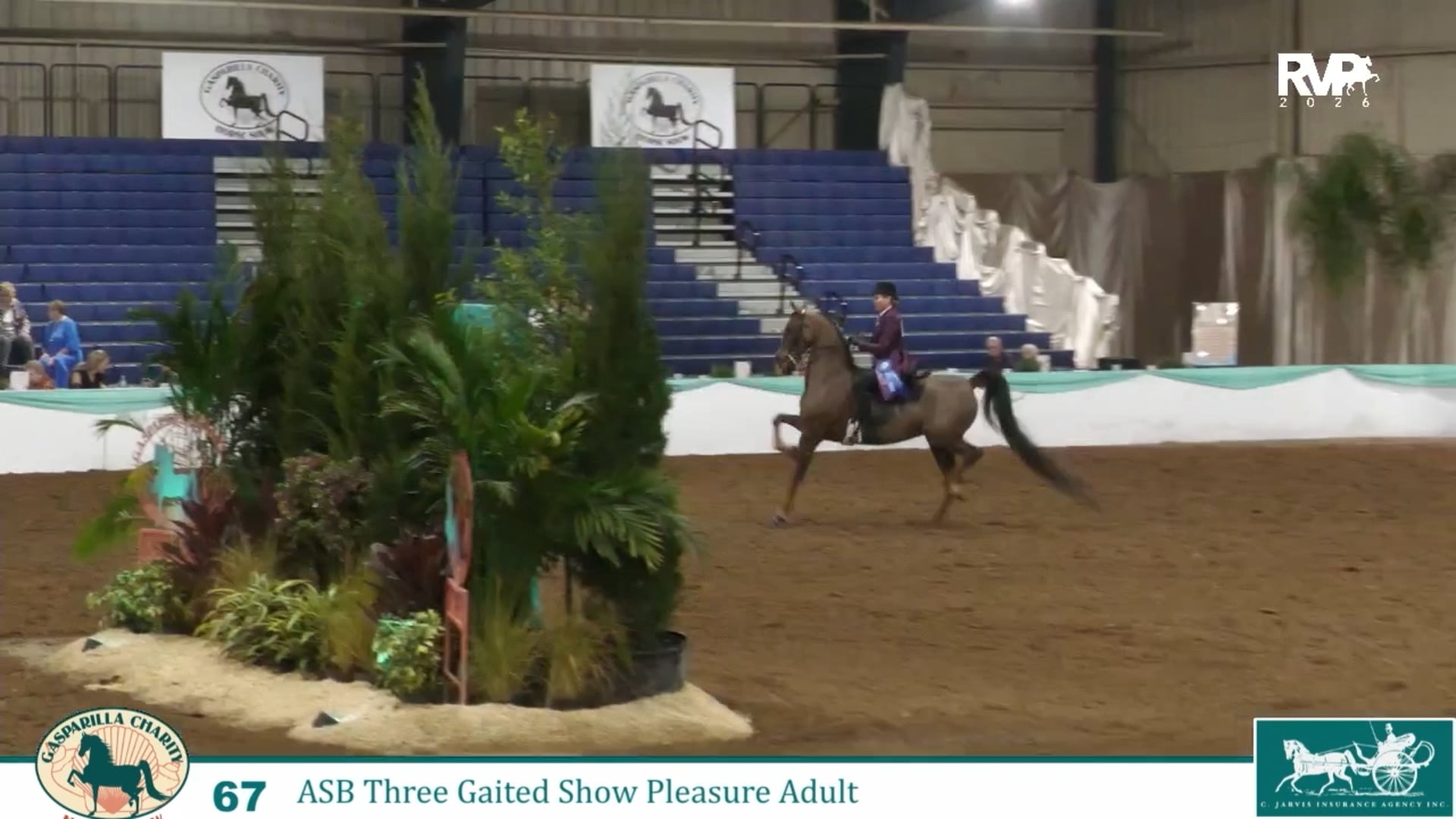 GC26 - Class 67 - CH MBA's Mockingjay and Michelle Ganci, Up