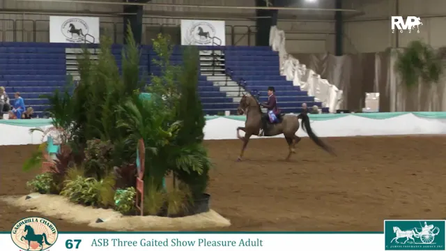 GC26 - Class 67 - CH MBA's Mockingjay...