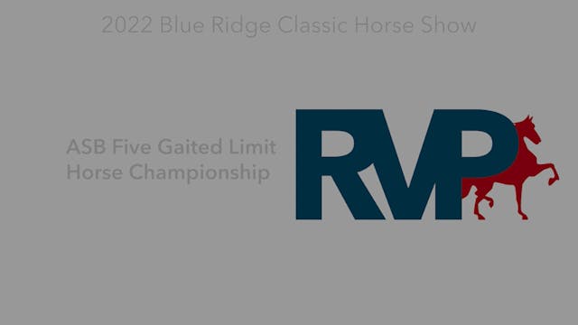 BR22 - Class 154 - ASB Five Gaited Li...