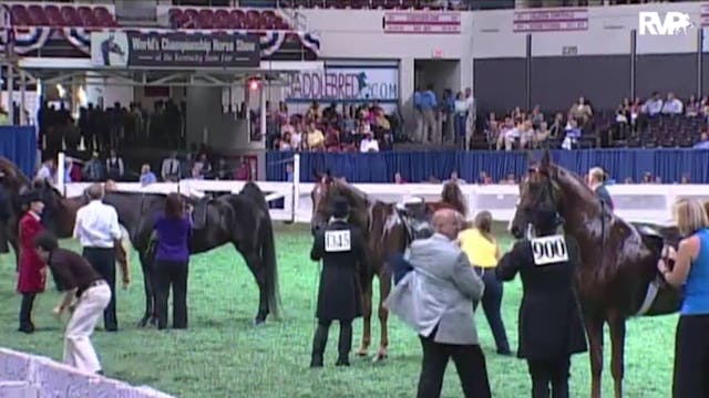 2010 World's Championship Horse Show ...