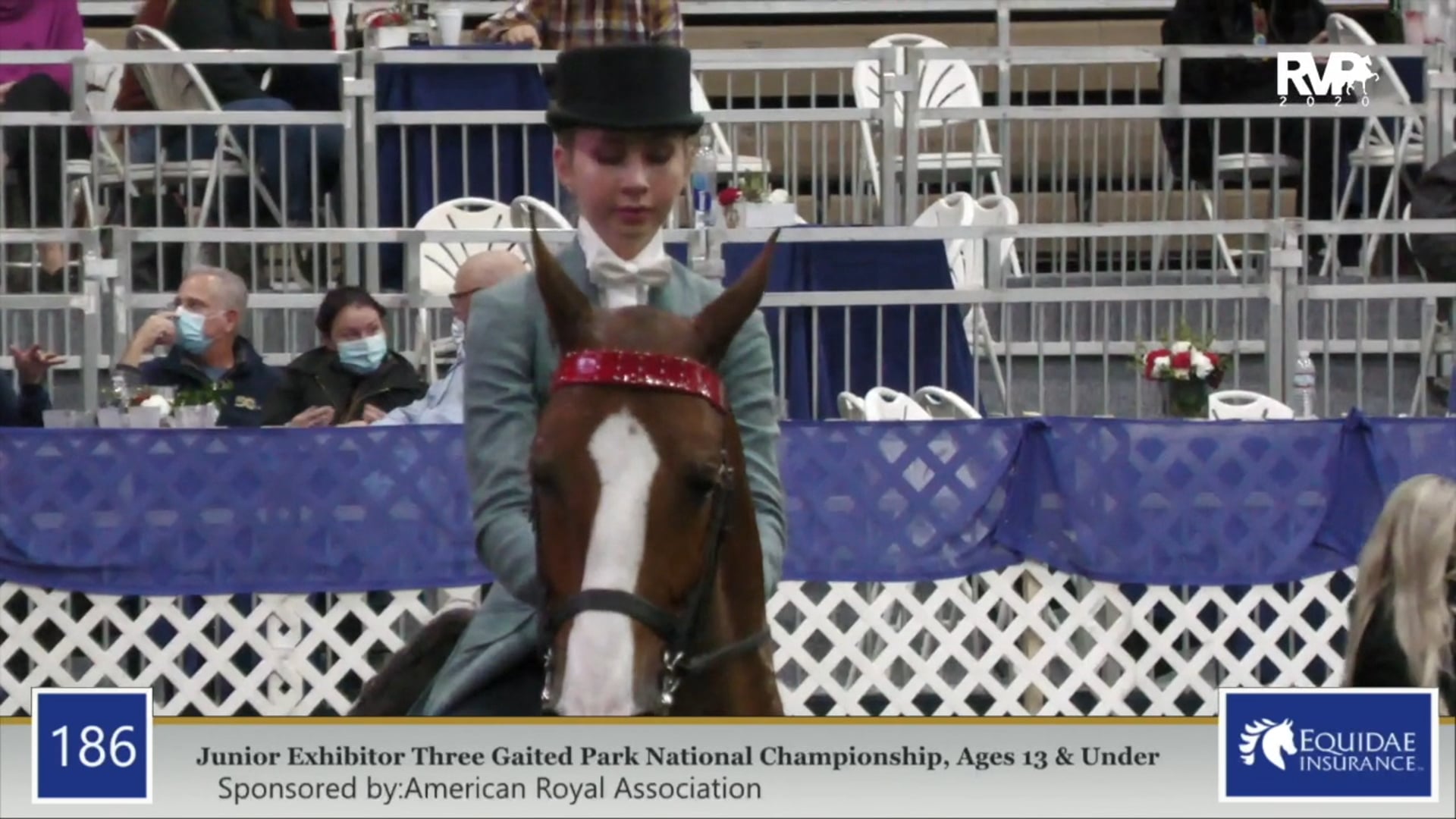 2020 AR - Class 186 Junior Exhibitor 13 & Under 
Three Gaited Park National 
Championship