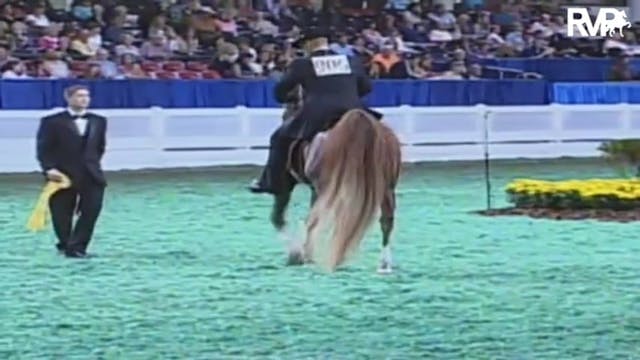 2009 World's Championship Horse Show ...