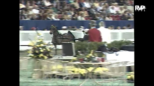 1998 WCHS - Class 191 Amateur Harness...