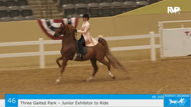 KFC23 - Class 46 - Three Gaited Park ...