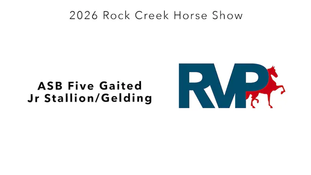 RC26 - Class 69 - ASB Five Gaited Jr ...