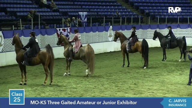 2014 KC - Class 25 MO-KS Three Gaited...