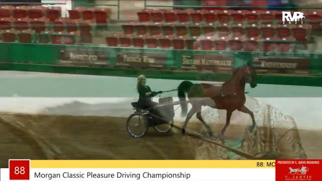 NCSC21 - Class 88 - Morgan Classic Pl...